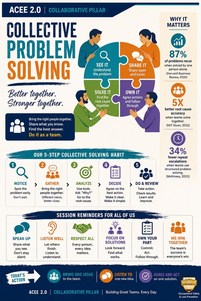 ACEE 2.0 behaviour poster &mdash; Collective Problem Solving